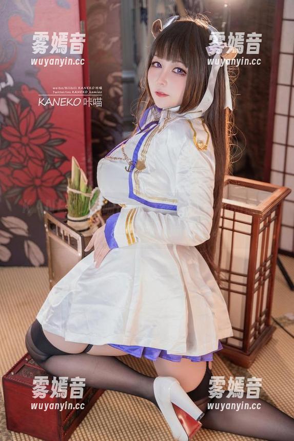 KANEKO咔喵 KANEKO咔喵的精灵修女扒开你的想象大门,套图与资源绝配。