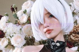 eliza喵喵的白色梦境：从护士到图库冒险