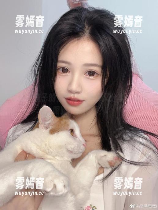 千反田鹿子的兔女郎，图库又分享，谁滴眼睛不够用啊？
