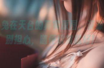 星野咪兔在天台的真实原图，资源放这，别担心，随便欣赏就好！
